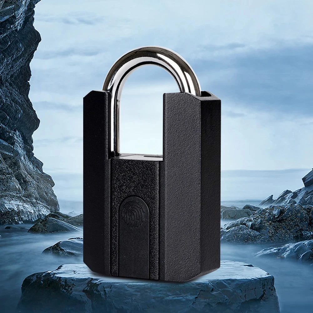 Black padlock on a rocky outcrop with a scenic background
