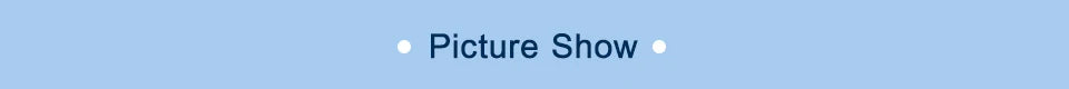 Blue background with 'Picture Show' text