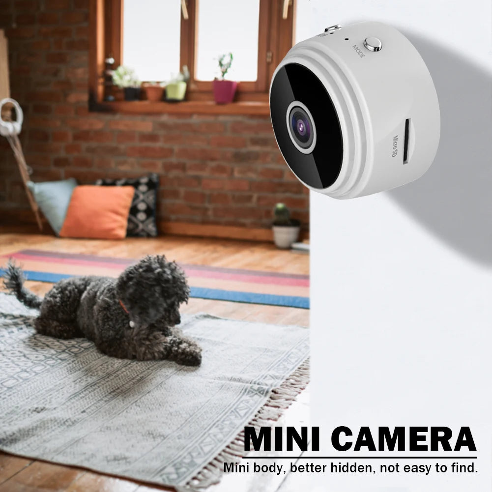 Mini camera mounted on a wall with a dog lying on the floor below.